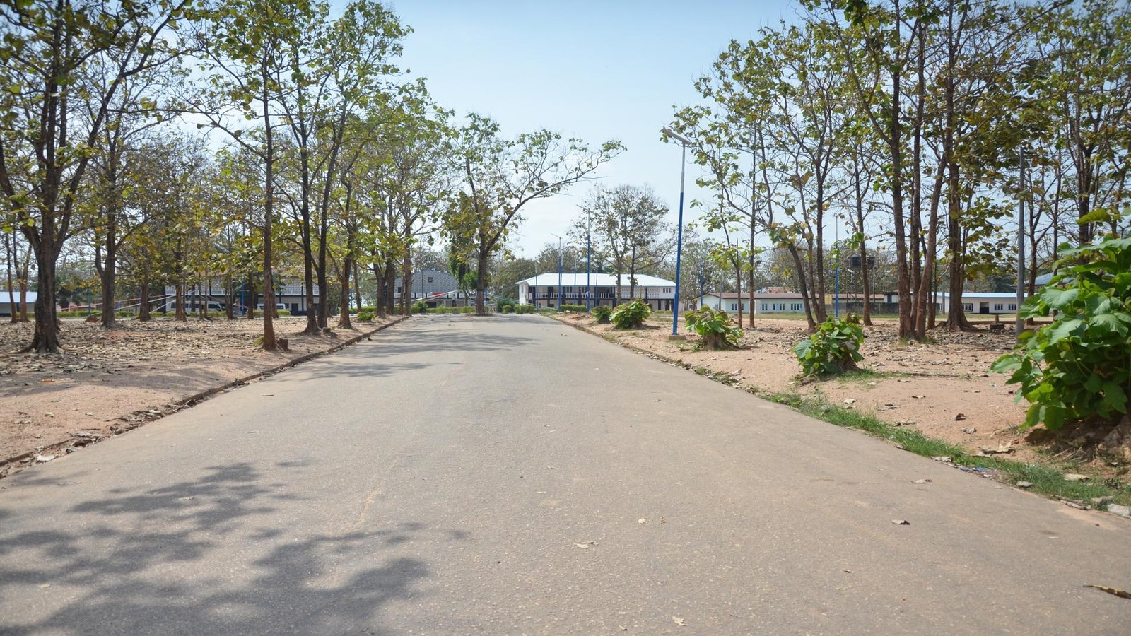 The college entrance