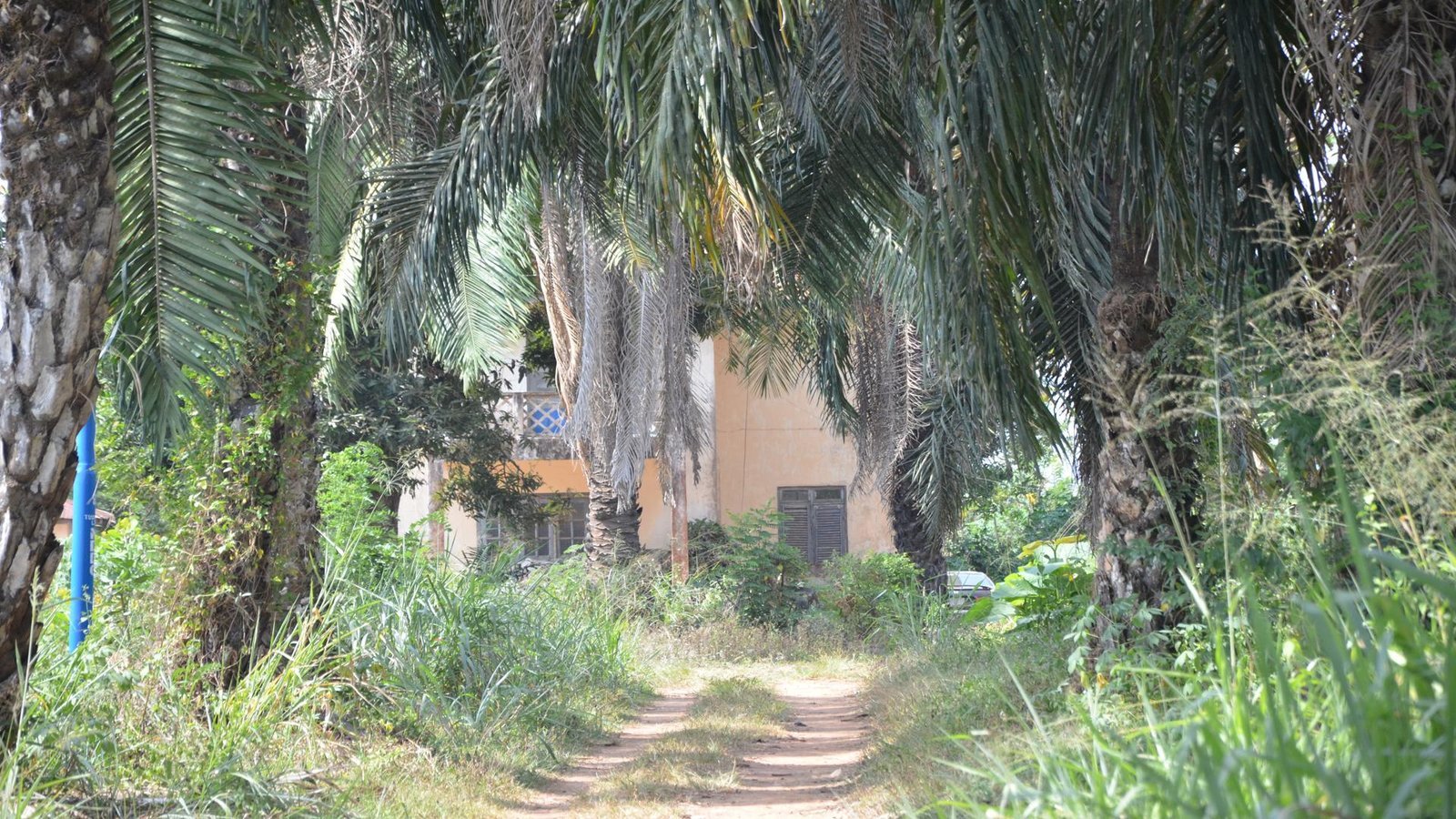 Reconstruction of the Principal's Lodge